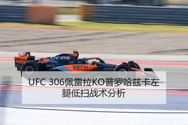 UFC 306佩雷拉KO普罗哈兹卡左腿低扫战术分析